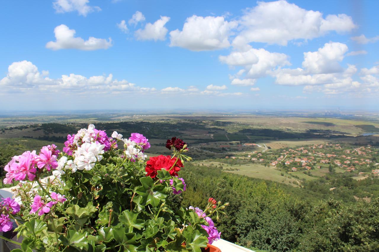 Zaara Estate Winery Hotel & Spa Glavan Esterno foto